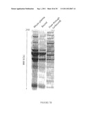 COMPOSITIONS AND METHODS RELATING TO MONITORING ALCOHOL CONSUMPTION AND     ALCOHOL ABUSE diagram and image