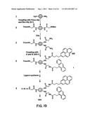 Multiplexed Assay Using Encoded Solid Support Matrices diagram and image