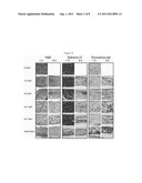 DECELLULARIZATION METHOD FOR SCAFFOLDLESS TISSUE ENGINEERED ARTICULAR     CARTILAGE OR NATIVE CARTILAGE TISSUE diagram and image