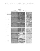 DECELLULARIZATION METHOD FOR SCAFFOLDLESS TISSUE ENGINEERED ARTICULAR     CARTILAGE OR NATIVE CARTILAGE TISSUE diagram and image