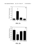 C-LINKED GLUCURONIDE OF N-(4-HYDROXYBENZYL) RETINONE, ANALOGS THEREOF, AND     METHODS OF USING THE SAME TO INHIBIT NEOPLASTIC CELL GROWTH diagram and image