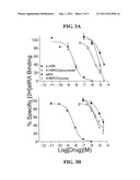 C-LINKED GLUCURONIDE OF N-(4-HYDROXYBENZYL) RETINONE, ANALOGS THEREOF, AND     METHODS OF USING THE SAME TO INHIBIT NEOPLASTIC CELL GROWTH diagram and image