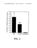 C-LINKED GLUCURONIDE OF N-(4-HYDROXYBENZYL) RETINONE, ANALOGS THEREOF, AND     METHODS OF USING THE SAME TO INHIBIT NEOPLASTIC CELL GROWTH diagram and image