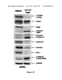 TRANSCRIPTION FACTOR INHIBITORS AND RELATED COMPOSITIONS, FORMULATIONS AND     METHODS diagram and image