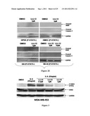 TRANSCRIPTION FACTOR INHIBITORS AND RELATED COMPOSITIONS, FORMULATIONS AND     METHODS diagram and image