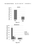 TRANSCRIPTION FACTOR INHIBITORS AND RELATED COMPOSITIONS, FORMULATIONS AND     METHODS diagram and image