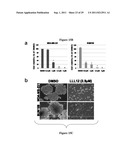 TRANSCRIPTION FACTOR INHIBITORS AND RELATED COMPOSITIONS, FORMULATIONS AND     METHODS diagram and image