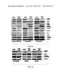 TRANSCRIPTION FACTOR INHIBITORS AND RELATED COMPOSITIONS, FORMULATIONS AND     METHODS diagram and image