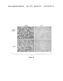 TRANSCRIPTION FACTOR INHIBITORS AND RELATED COMPOSITIONS, FORMULATIONS AND     METHODS diagram and image