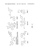 Protein Kinase Inhibitors diagram and image