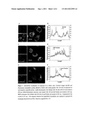 ROSAMINE DERIVATIVES AS AGENTS FOR THE TREATMENT OF CANCER diagram and image