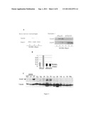 METHOD FOR IDENTIFYING COMPOUNDS USEFUL FOR TREATING AND/OR PREVENTING     DISEASE-ASSOCIATED BONE LOSS diagram and image