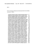 METHOD TO PREDICT RESPONSE TO PHARMACOLOGICAL CHAPERONE TREATMENT OF     DISEASES diagram and image