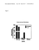 METHOD TO PREDICT RESPONSE TO PHARMACOLOGICAL CHAPERONE TREATMENT OF     DISEASES diagram and image