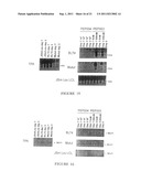 MACROCYCLIC DITERPENES FOR TREATING CONDITIONS ASSOCIATED WITH PROTEIN     KINASE C diagram and image