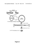 E2EPF Ubiquitin Carrier Protein-Von Hippel-Lindau Interaction and Uses     Thereof diagram and image