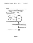 E2EPF Ubiquitin Carrier Protein-Von Hippel-Lindau Interaction and Uses     Thereof diagram and image