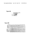 E2EPF Ubiquitin Carrier Protein-Von Hippel-Lindau Interaction and Uses     Thereof diagram and image