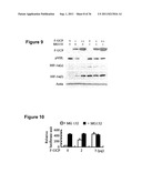 E2EPF Ubiquitin Carrier Protein-Von Hippel-Lindau Interaction and Uses     Thereof diagram and image