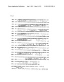 SIRNA CAPABLE OF INHIBITING THE EXPRESSION OF AN ONCOGENE INVOLVED IN     CERVICAL CANCER diagram and image