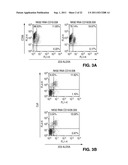 Device And Method For Transfecting Cells For Therapeutic Uses diagram and image