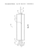 MEDICAL DEVICE SHIELD AND METHODS FOR DELIVERING A MEDICAL DEVICE diagram and image