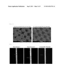 METHOD FOR MANUFACTURING ELECTRODE FOR SOLAR CELL, SUBSTRATE FOR SOLAR     CELL MANUFACTURED BY THE SAME, AND SOLAR CELL MANUFACTURED BY THE SAME diagram and image