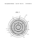 PLASMA PROCESSING APPARATUS AND SHOWER HEAD diagram and image