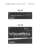 Formation of Nanowhiskers on a Substrate of Dissimilar Material diagram and image