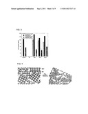 Nanocomposite Materials Comprising Metal-Organic-Framework Units and     Graphite-Based Materials, and Methods of Using Same diagram and image