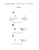 Method for Determination of the Responsiveness of an Individual to     Misletoe Lectin diagram and image