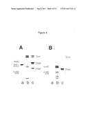 Method for Determination of the Responsiveness of an Individual to     Misletoe Lectin diagram and image