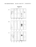 Method for Determination of the Responsiveness of an Individual to     Misletoe Lectin diagram and image