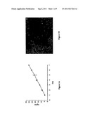 METHODS AND COMPOSITIONS FOR DELIVERY OF EXOGENOUS FACTORS TO NERVIOUS     SYSTEM SITES diagram and image