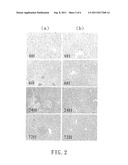 THERAPY OR PROPHYLAXIS OF KLEBSIELLA PNEUMONIAE INFECTIONS WITH A LYTIC     BACTERIOPHAGE SPECIFICALLY AGAINST THE K. PNEUMONIAE diagram and image