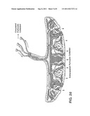 TREATMENT OF RADIATION INJURY USING PLACENTAL STEM CELLS diagram and image