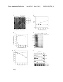 Novel Toxin-Antitoxin System diagram and image