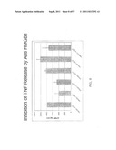 MONOCLONAL ANTIBODIES AGAINST HMGB1 diagram and image