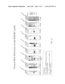 MONOCLONAL ANTIBODIES AGAINST HMGB1 diagram and image