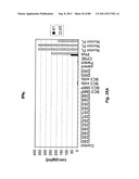 TCR Complex Immunotherapeutics diagram and image