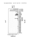 TCR Complex Immunotherapeutics diagram and image