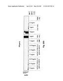 TCR Complex Immunotherapeutics diagram and image