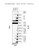 TCR Complex Immunotherapeutics diagram and image