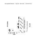 TCR Complex Immunotherapeutics diagram and image