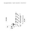 TCR Complex Immunotherapeutics diagram and image