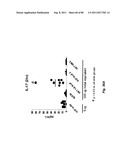 TCR Complex Immunotherapeutics diagram and image