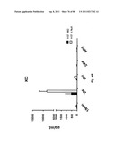 TCR Complex Immunotherapeutics diagram and image