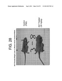 ANTAGONISTS OF IL-6 TO PREVENT OR TREAT CACHEXIA, WEAKNESS, FATIGUE,     AND/OR FEVER diagram and image