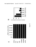 METHOD FOR DIAGNOSING AND/OR TREATING TUMOR diagram and image