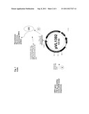 USE OF A PCV2 IMMUNOGENIC COMPOSITION FOR LESSENING CLINICAL SYMPTOMS IN     PIGS diagram and image